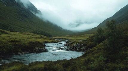 Misty mountain valley stream