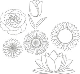 Fototapeta premium set of vector flowers