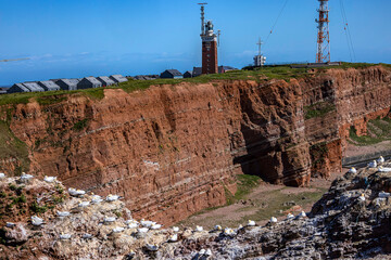 Germany. Helgoland (Heligoland), small island in the North Sea. The island's red cliffs and a colony of Northern gannet (Morus bassanus) on one of the rocks