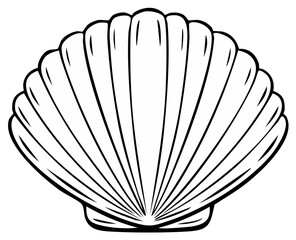 Black and white illustration of a seashell