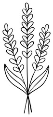 Naklejka premium Hand drawn lavender bouquet illustration in a minimalist black line art style