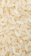 Close-up of uncooked white rice grains