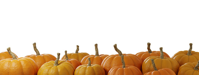Row of orange pumpkins on a transparent background for seasonal decoration.