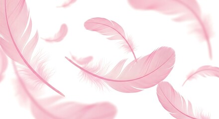 Soft pink feathers floating gently against a white background