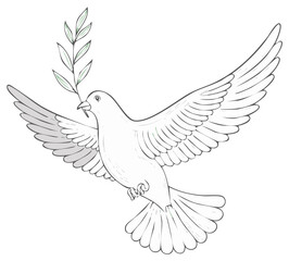 Fototapeta premium Hand drawn illustration of a white dove flying with an olive branch as a symbol of peace and hope