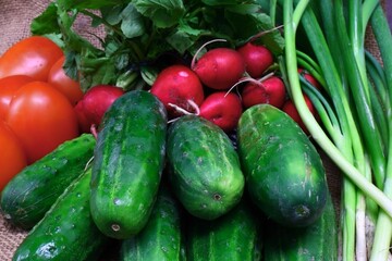 Fresh vegetables radish cucumber tomatoes
