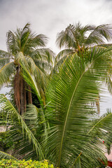 Grounds inside Fort San Pedro in Cebu City, Philippines