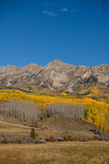 Rocky Mountain Hillside Covered with Fall Aspen Trees | Scenic Colorado Autumn Landscape, Vibrant Golden Forest, Seasonal Travel Destination, September October Autumn Colors, Tourism Nature Background