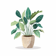 Potted Monstera Plant Vector &mdash; Decorative Indoor Green Leaves in Modern Ceramic Pot Illustration