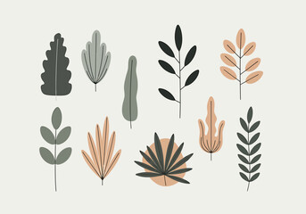 Collection of Stylized Botanical Leaf Illustrations in Earthy Tones.