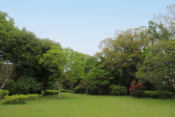 Japan's natural landscapes, including mountains, forests, rivers, and parks, create a serene and versatile backdrop perfect for your designs and presentations.