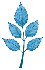 Hand drawn botanical illustration of a blue leaf branch with detailed veins