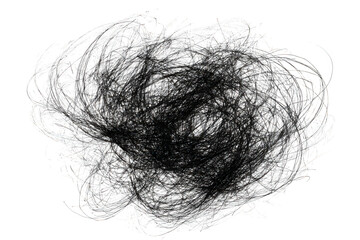 A chaotic cluster of black hair strands on a white background.