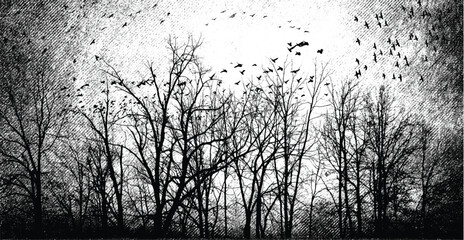 Silhouette of bare trees with flying birds. Gothic style black and white illustration	