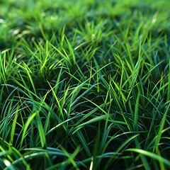Obraz premium Fresh green grass macro with natural texture and vibrant botanical detail, nature background for eco branding, gardening and wellness themes
