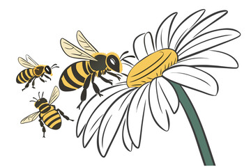bee on flower