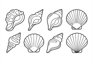 Conch and scallop shell outline icons for tropical summer graphics