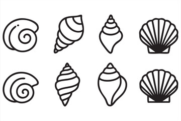Marine seashell vector illustrations for beach and ocean design themes