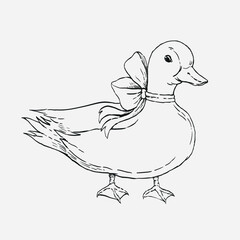 Duck with bow cute bird hand drawn vintage illustration animal doodle