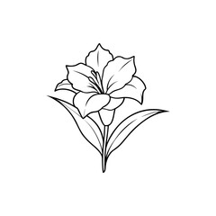 Elegant Black and White Outline Drawing of a Lily Flower with Leaves