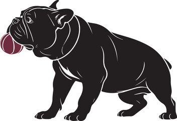 Fototapeta premium Black and white illustration of a bulldog holding a burgundy ball in its mouth animal