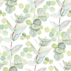 Eucalyptus branches with pointed and round leaves watercolor seamless pattern on white. Hand-painted art ideal for textile, natural cosmetics branding, packaging, fabric, eco decor, stationery.
