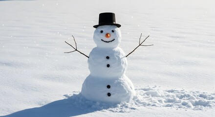Fototapeta premium Snowman winter fun