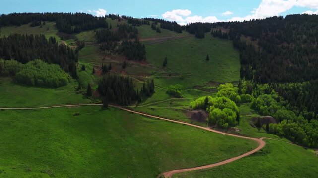4wd road Little Annie Trailhead Aspen Mountain Ajax Richmond Hill cabins aerial drone Colorado Rocky Mountains Aspen Trees grove Mountain spring summer morning blue sky clouds circle left motion