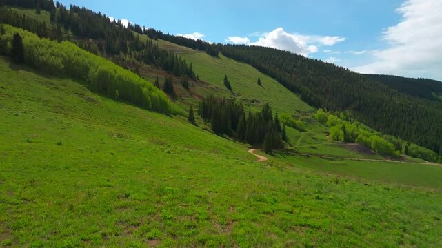 4wd road Little Annie Trailhead Aspen Mountain Ajax aerial drone Colorado Rocky Mountains Elk Range Aspen Trees grove Conundrum Ashcroft Mountain spring summer morning blue sky clouds forward motion