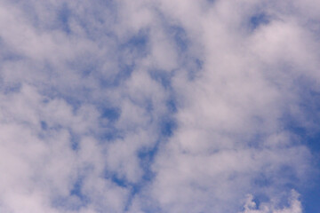 Fototapeta premium Clear sky.