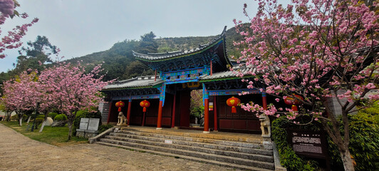 Chinese pavilion in the park