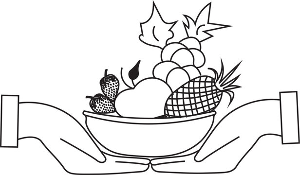 fruit boul line art vector.