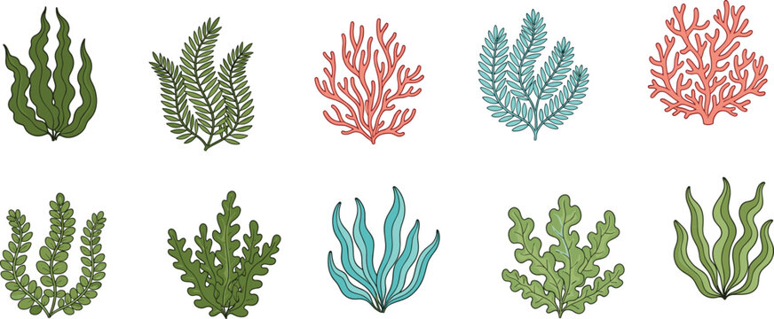 Hand-drawn seaweed and coral illustrations, ocean plant vector set, underwater marine flora, aquatic decoration, botanical elements, reef ecosystem design
