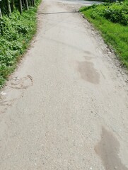 Sunlit path through lush greenery ideal for a relaxing walk or peaceful stroll outdoors