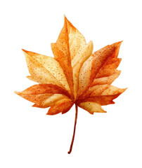 PNG Autumn leaf watercolor illustration.