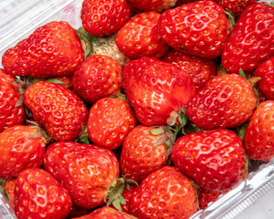 a container filled with ripe and fresh strawberries of various kinds