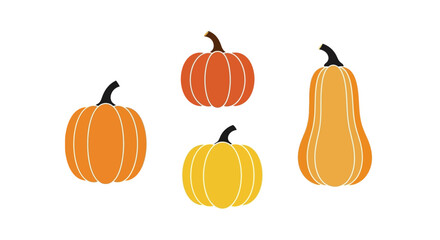Four assorted pumpkins featuring orange yellow and butternut squash varieties vector