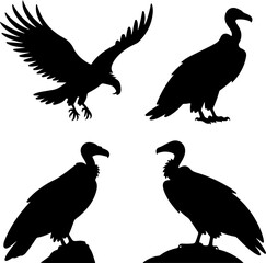 Vulture bird silhouette vector illustration