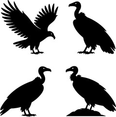 Vulture bird silhouette vector illustration
