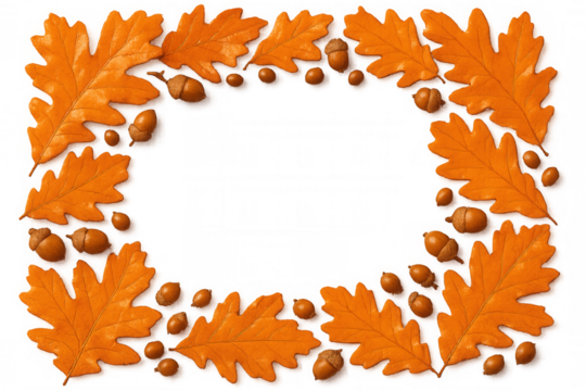 Rectangular frame made of orange oak leaves and acorns creating a festive autumn decoration on a transparent background