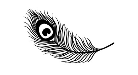 Obraz premium Elegant Feather Illustration in Black and White on Plain Background