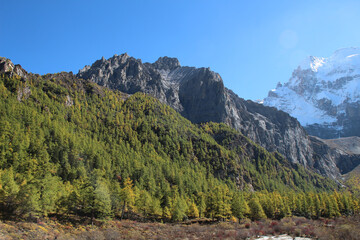Majestic snow peaks tower over serene alpine rivers and lakes  Yading Nature Reserve, Sichuan, China