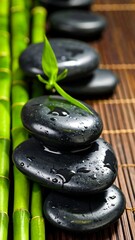 Serene stones and bamboo stalks