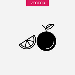 Grapefruit icon simple vector isolated symbol trendy style illustration for web and app..eps