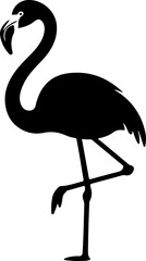 Flamingo black silhouette vector illustration