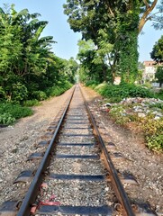 Obraz premium Railroad tracks disappearing into lush green tropical jungle with bright sky above