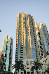 Low-angle vertical view of modern skyscraper towers in a major Middle Eastern city like Dubai or Abu Dhabi, featuring glass facades, balconies, and palm trees against a clear blue sky.