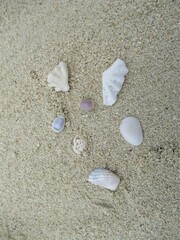 Exotic Tropical Beach Paradise Summer Vacation Destination