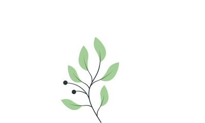 Fototapeta premium Simple illustration of a sprig with leaves and berries.