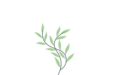 Two intertwined light green plant stems with leaves against a white background.